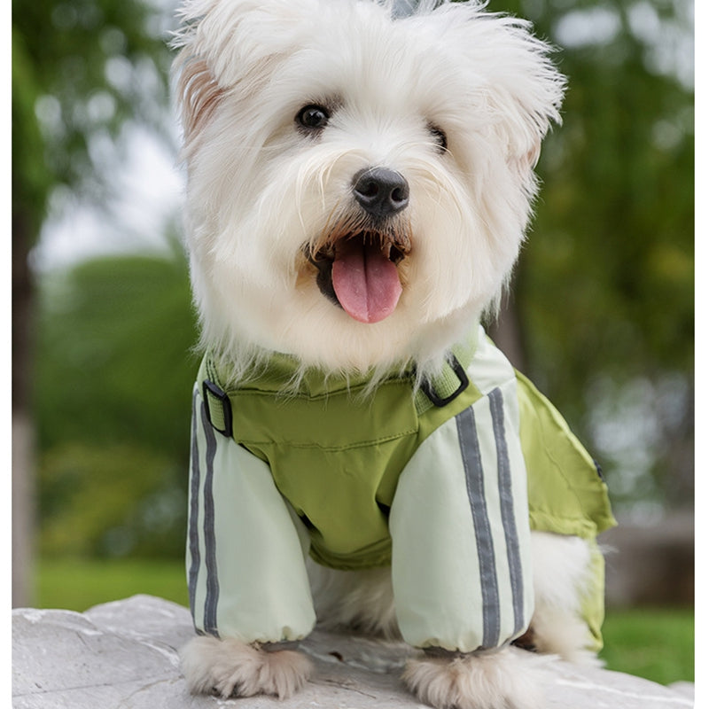 Autumn And Winter Dog, Small And Medium-sized Dog Teddy Outdoor Windproof, Waterproof, Three-proof Raincoat, Four-legged Cotton Coat, Pet Clothing