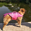 Gilet de Sauvetage pour Chien – Édition Requin & Sirène, Flottaison Sécurisée, Poignée Dorsale