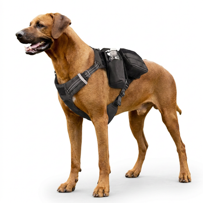Harnais Tactique pour Chien – Panneaux MOLLE, Poignée de Contrôle, Bandes Réfléchissantes 3M