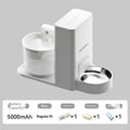 Wireless Thermostatic Cat Water Dispenser With 2-in-1 Drinking Feature