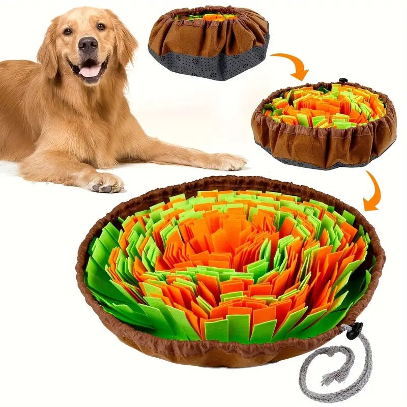 Bol de Fouille Olfactif pour Chien – Stimulation Mentale, Lavable en Machine
