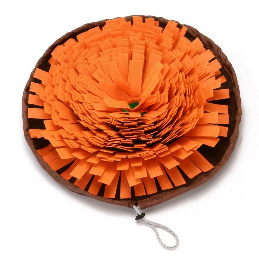 Bol de Fouille Olfactif pour Chien – Stimulation Mentale, Lavable en Machine