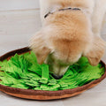 Bol de Fouille Olfactif pour Chien – Stimulation Mentale, Lavable en Machine