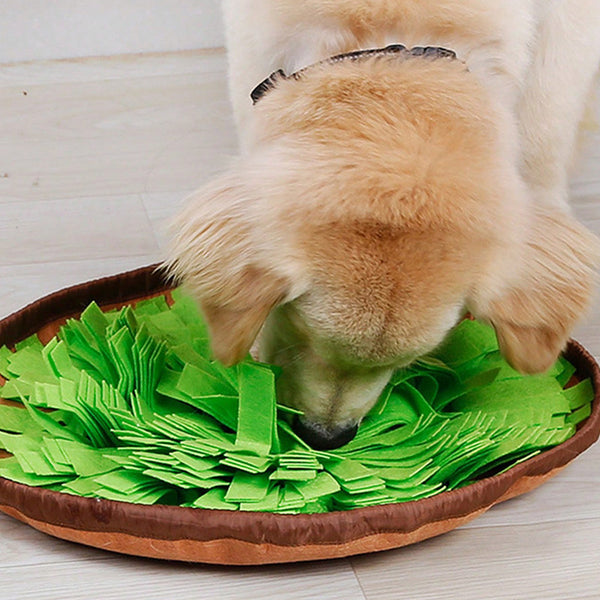 Bol de Fouille Olfactif pour Chien – Stimulation Mentale, Lavable en Machine