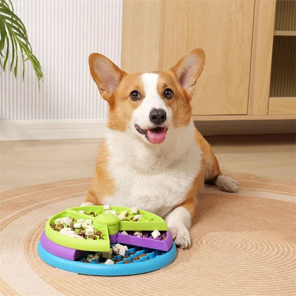 Bol Ralentisseur Tournant pour Chien – 3 Niveaux Démontables, Anti-Glouton, Sans BPA