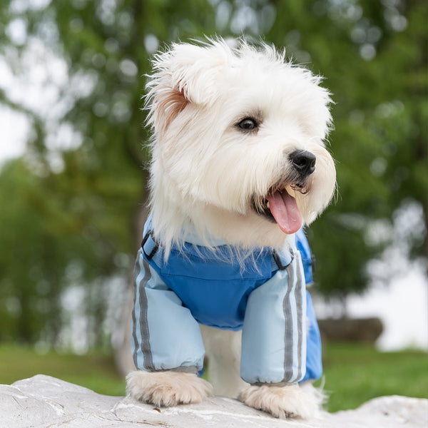 Autumn And Winter Dog, Small And Medium-sized Dog Teddy Outdoor Windproof, Waterproof, Three-proof Raincoat, Four-legged Cotton Coat, Pet Clothing