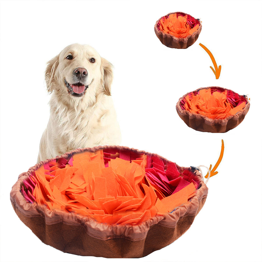 Bol de Fouille Olfactif pour Chien – Stimulation Mentale, Lavable en Machine