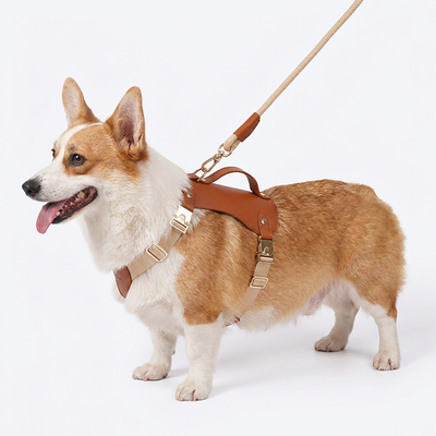 Harnais Gilet & Laisse en Cuir Microfibre pour Chien